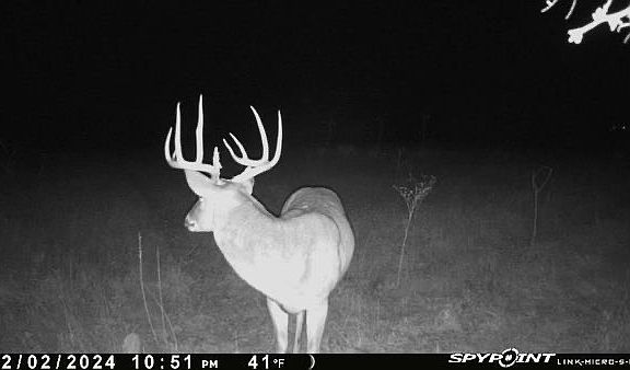 5th image of 343 County Rd