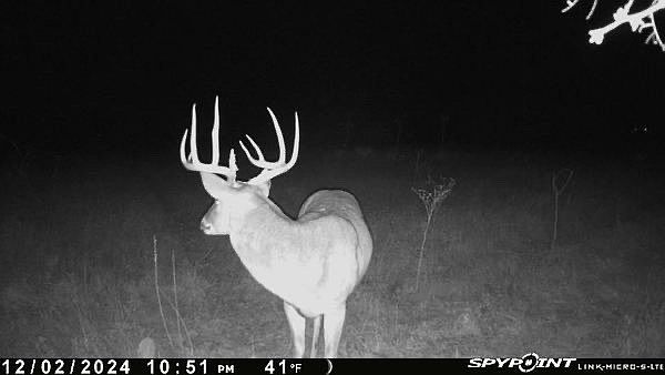 1st image of 343 County Rd