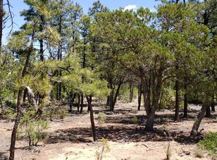 21 S Falling Leaf Rd, Show Low, AZ 85901