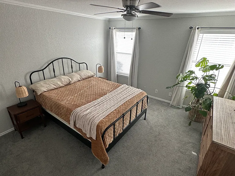 162 Hampton Cv — Photo 15