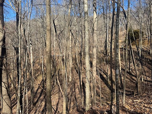 5th image of 17 W Ridge Dr