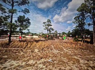 547 Branchwood Ave #19, Lake Placid, FL 33852