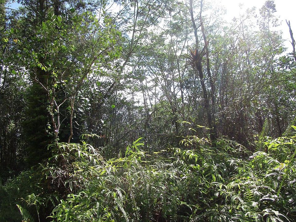 2nd image of Silversword Ct Lot 26