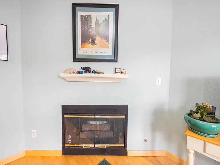 functional gas fireplace