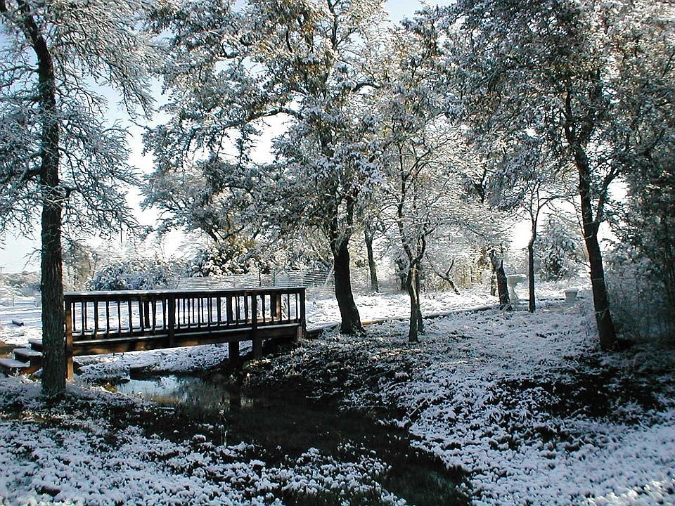 Wooden Bridge and birdbath/bench (when it snowed!) from outside back yard