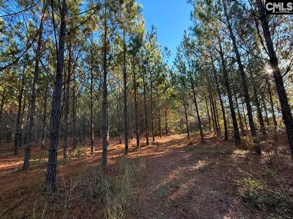 Truex Rd, Leesville, SC 29070