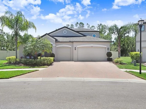 10703 Morning Dew Way, Tampa, FL 33647