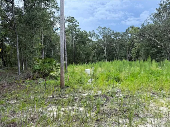 106 Jackson Ave Lot 5, Interlachen, FL 32148