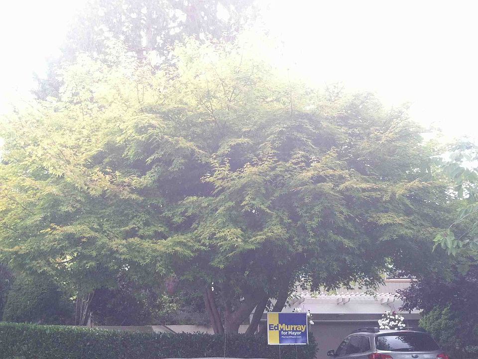 1st image of 7711 56th Pl NE