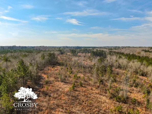 N Old River Rd, Pamplico, SC 29583
