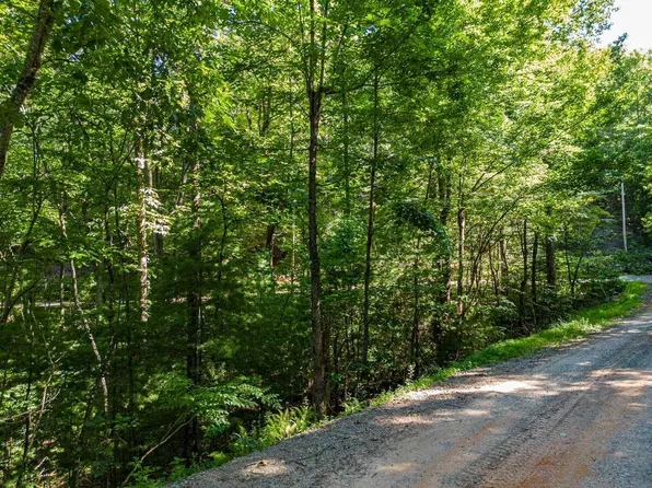 12 Hickory Dr, Mineral Bluff, GA 30559