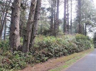 0 Park Ln, Copalis Beach, WA 98535