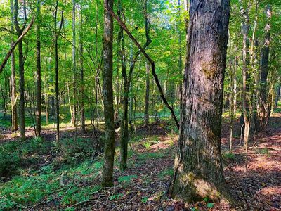 3050 James Dr NW, Wesson, MS, 39191