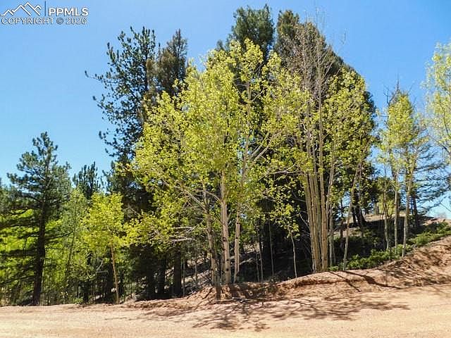 2nd image of 51 Mariposa Dr