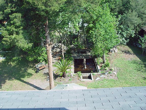 Pond and garden area
