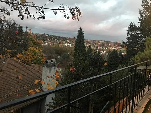 Bedroom window view