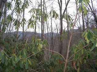 Ingram Branch Rd, Roan mountain, TN 37687