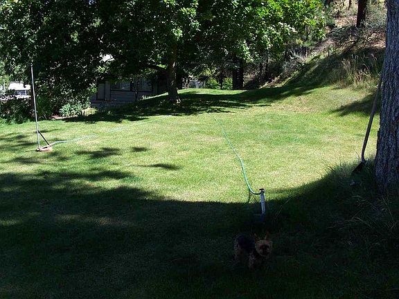 5th image of 512 Blum Ln