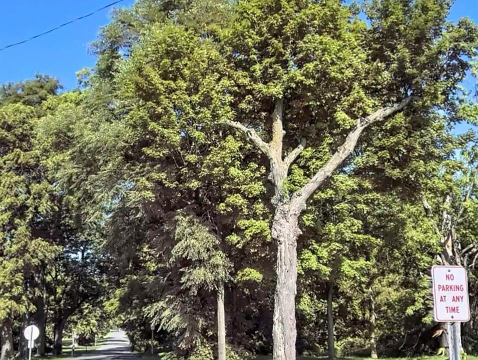 2nd image of 20710 N Superior Rd E