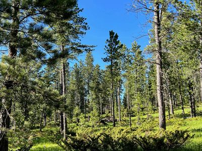 LOT 7 Boles Canyon Rd, Lead, SD, 57754
