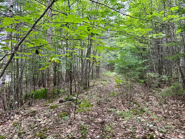 TBD East Road, Greenville, ME 04441