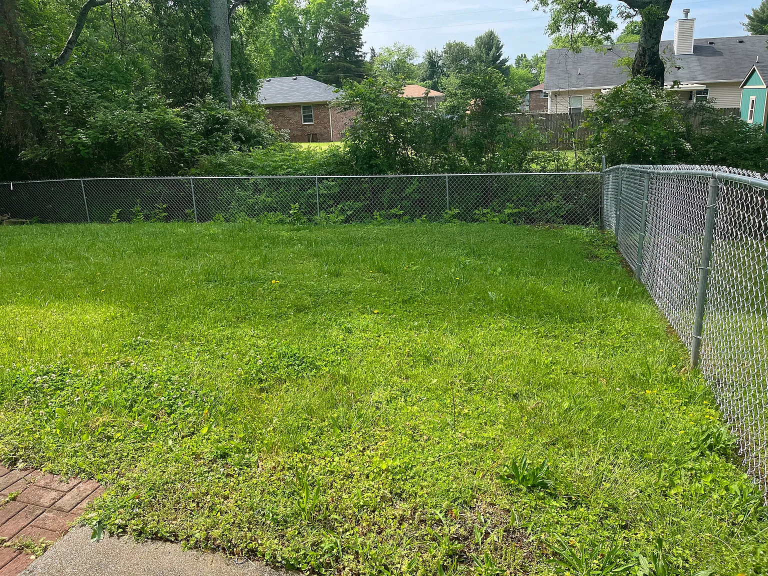 3 bed, 1628 sqft, $2,000 — Photo 3