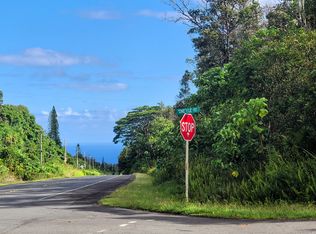 Kapiolani St LOT 355, Pahoa, HI 96778