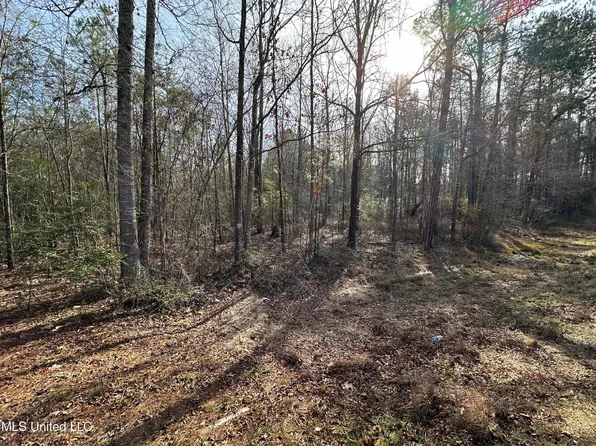 Simpson Cv #13, Mendenhall, MS 39114