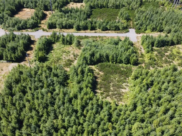 9999 King Johns- Lot 3 Crow Way, Forks, WA 98331
