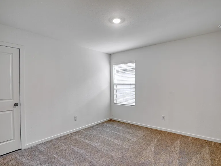 803 Ginkgo Way — Photo 26