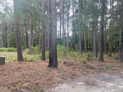 2313 Rigney Ct LOT 9, Willow Spring, NC, 27592