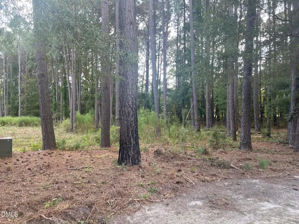 2313 Rigney Ct Lot 9, Willow Spring, NC 27592
