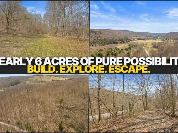 L9112 Lutheranville Rd, East Worcester, NY 12064