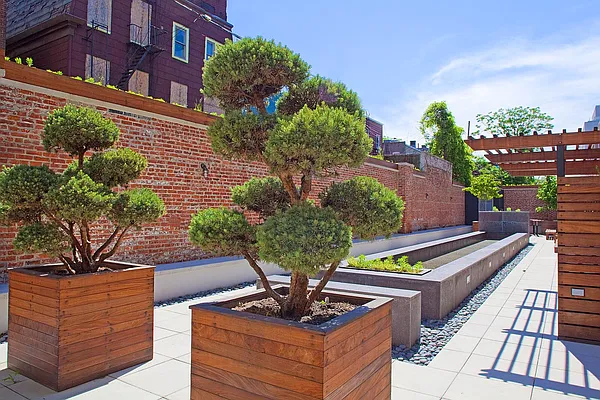 Rented by Douglas Elliman | media 10
