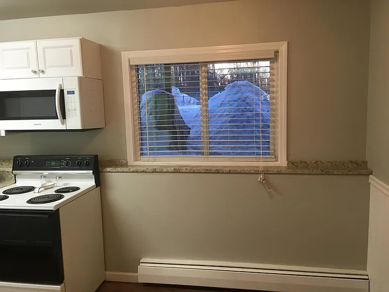 6816 Colonial Ct #3 — Photo 7