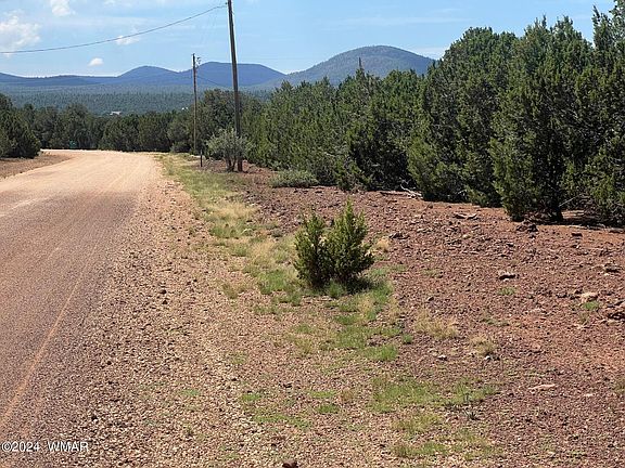 3rd image of 81 County Road 3158