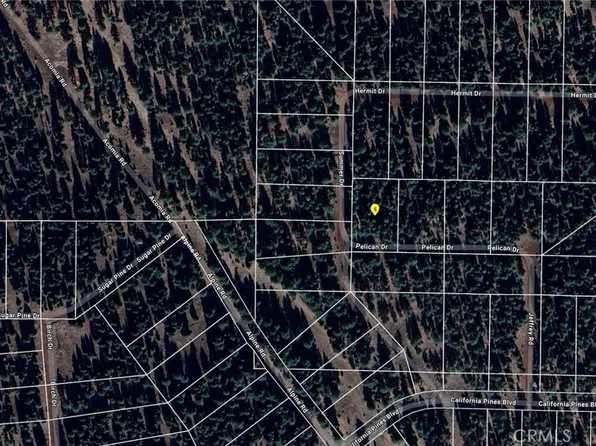 0 Pelican Lot 23, Alturas, CA 96101