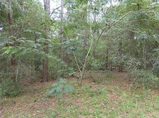 10061 N BISCAYNE DRIVE LOT 34, DUNNELLON, FL 34434