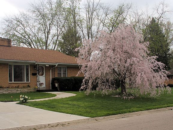 3rd image of 202 W Sherry Dr
