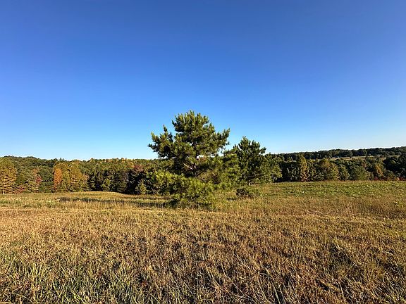5th image of 1248AC Nichol Creek Dr