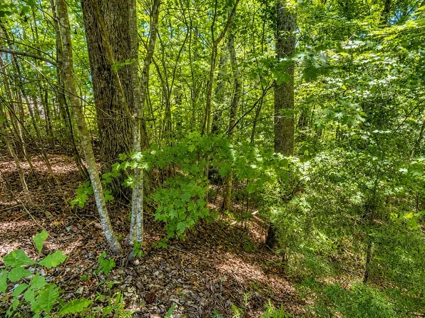 0 Tennis Center Dr, Smithville, TN 37166