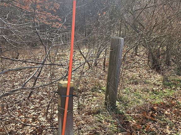 3rd image of 9284 Briar Rd