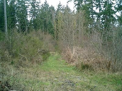 3rd image of 44015 State Route 161 E