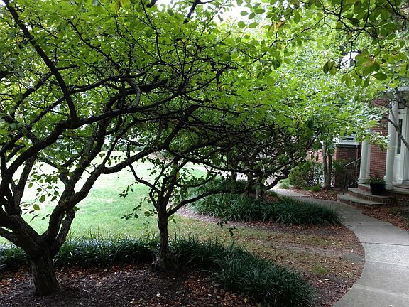 5th image of 15515 Van Aken Blvd APT 3B