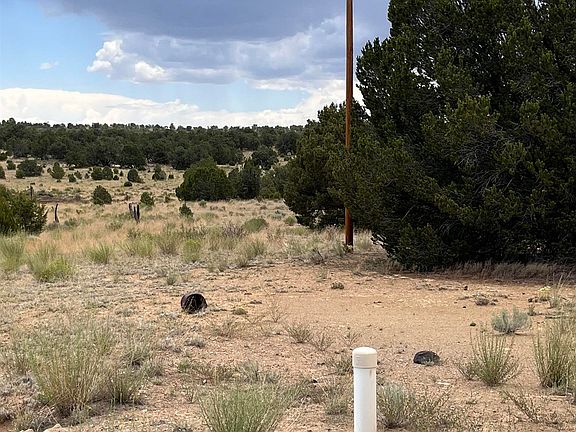 5th image of 3 Ponderosa Dr