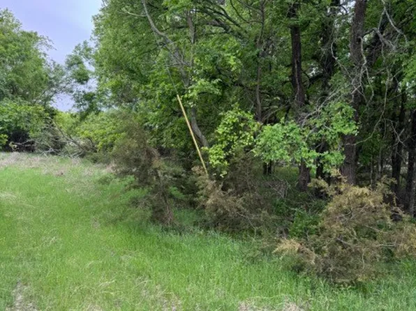17082 Faircrest Dr, Whitney, TX 76692