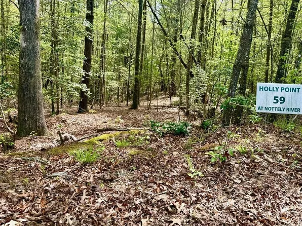 Rainy Farm Rd, Murphy, NC 28906