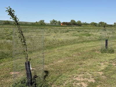 4 Wild West Pl, Belle Fourche, SD, 57717