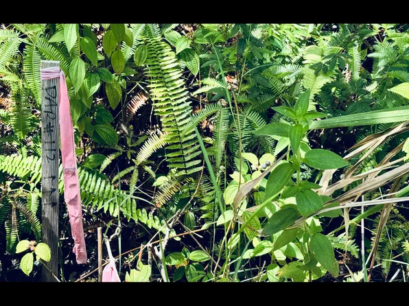Pikake St Lot 8121, Mountain View, HI 96771