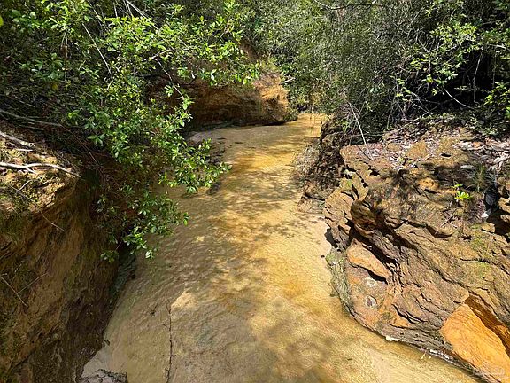 5th image of 820 Meander Creek Ln